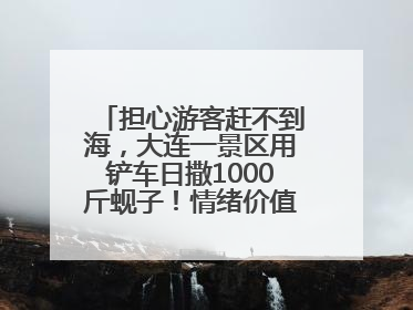 担心游客赶不到海，大连一景区用铲车日撒1000斤蚬子！情绪价值拉满！