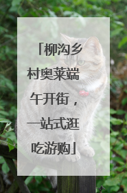 柳沟乡村奥莱端午开街，一站式逛吃游购