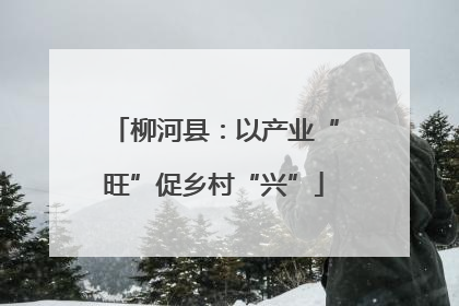 柳河县：以产业“旺”促乡村“兴”