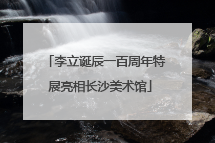 李立诞辰一百周年特展亮相长沙美术馆
