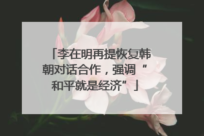 李在明再提恢复韩朝对话合作，强调“和平就是经济”