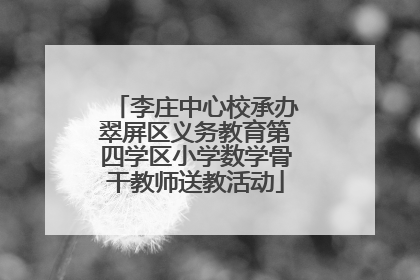 李庄中心校承办翠屏区义务教育第四学区小学数学骨干教师送教活动