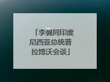 李强同印度尼西亚总统普拉博沃会谈