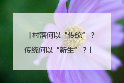 村落何以“传统”？传统何以“新生”？