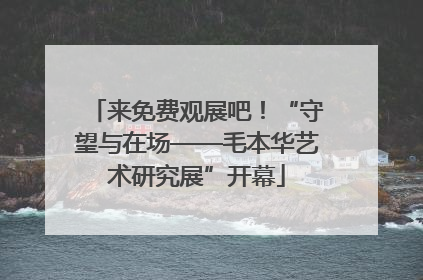 来免费观展吧！“守望与在场——毛本华艺术研究展”开幕