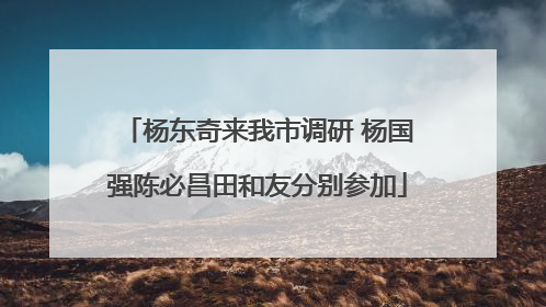 杨东奇来我市调研 杨国强陈必昌田和友分别参加