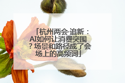 杭州两会·追新：AI如何让消费突围？场景和路径成了会场上的高频词