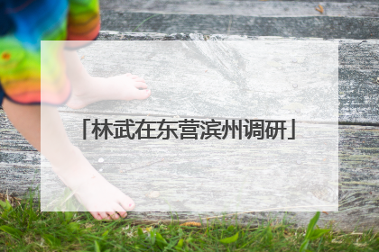 林武在东营滨州调研