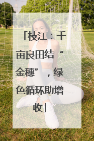 枝江：千亩良田结“金穗”，绿色循环助增收