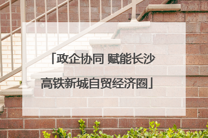 政企协同 赋能长沙高铁新城自贸经济圈