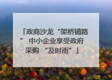 政商沙龙“架桥铺路” 中小企业享受政府采购 “及时雨”