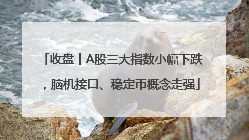 收盘丨A股三大指数小幅下跌，脑机接口、稳定币概念走强