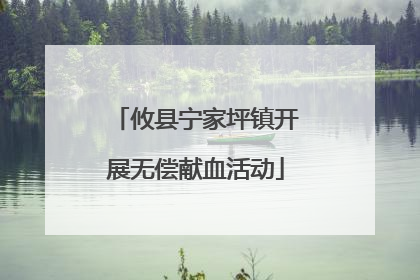 攸县宁家坪镇开展无偿献血活动