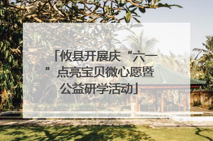 攸县开展庆“六一”点亮宝贝微心愿暨公益研学活动