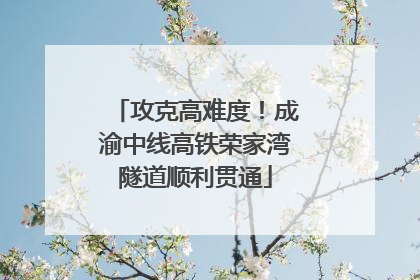 攻克高难度！成渝中线高铁荣家湾隧道顺利贯通