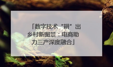 数字技术“耕”出乡村新图景：电商助力三产深度融合