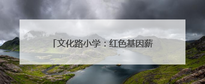 文化路小学：红色基因薪火传，榜样力量润童心