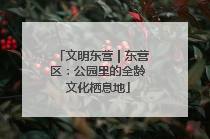 文明东营｜东营区：公园里的全龄文化栖息地