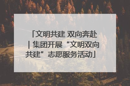 文明共建 双向奔赴｜集团开展“文明双向共建”志愿服务活动