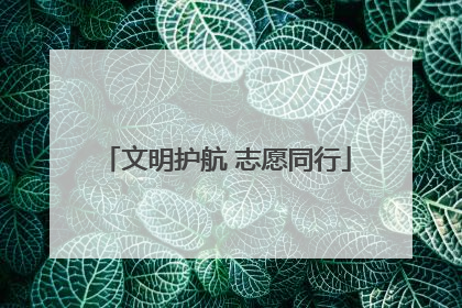 文明护航 志愿同行