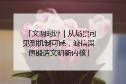 文明时评｜从场景可见到机制可感，诚信淄博锻造文明新内核