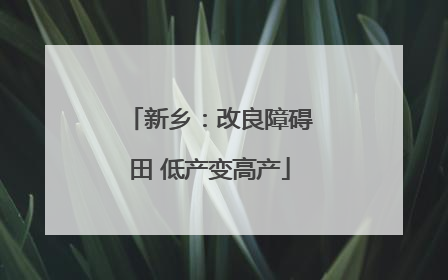 新乡：改良障碍田 低产变高产