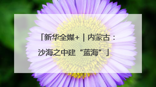 新华全媒+｜内蒙古：沙海之中建“蓝海”