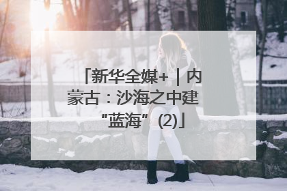 新华全媒+｜内蒙古：沙海之中建“蓝海”(2)