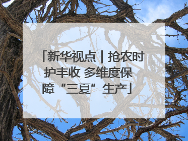 新华视点｜抢农时 护丰收 多维度保障“三夏”生产