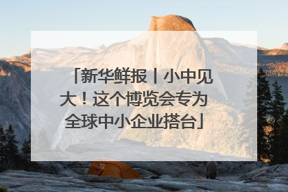 新华鲜报丨小中见大！这个博览会专为全球中小企业搭台