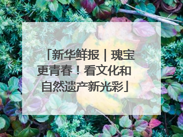 新华鲜报｜瑰宝更青春！看文化和自然遗产新光彩