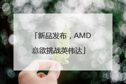 新品发布，AMD意欲挑战英伟达