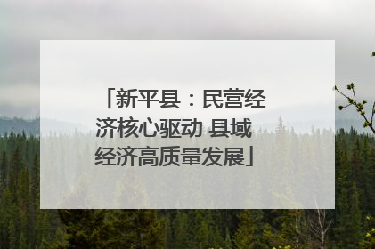 新平县：民营经济核心驱动 县域经济高质量发展