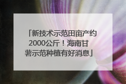 新技术示范田亩产约2000公斤！海南甘薯示范种植有好消息