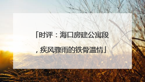 时评：海口房建公寓段，疾风骤雨的铁骨温情