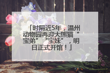 时隔近5年，温州动物园再迎大熊猫“宝弟”“宝妹”，明日正式开馆！