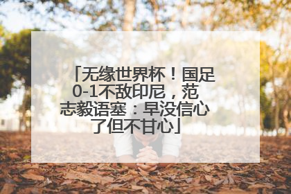 无缘世界杯！国足0-1不敌印尼，范志毅语塞：早没信心了但不甘心