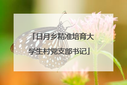 日月乡精准培育大学生村党支部书记