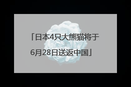 日本4只大熊猫将于6月28日送返中国
