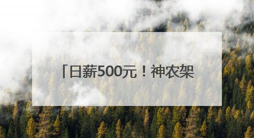 日薪500元！神农架景区 “野人” 热招，近4000人报名