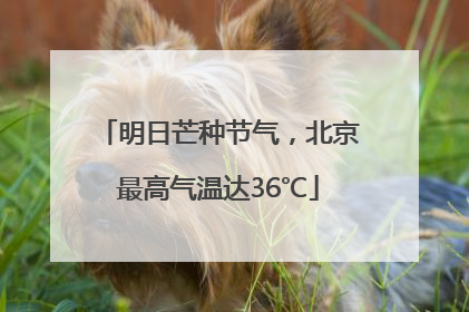 明日芒种节气，北京最高气温达36℃