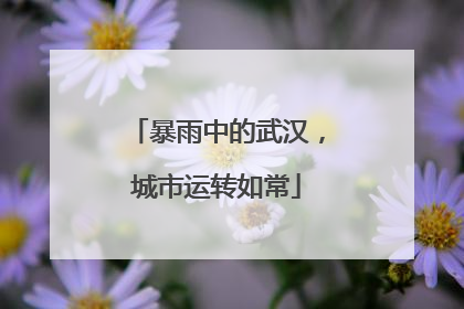 暴雨中的武汉，城市运转如常