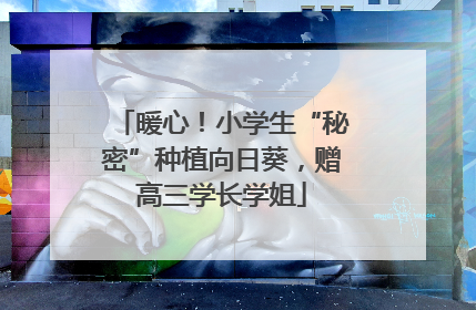 暖心！小学生“秘密”种植向日葵，赠高三学长学姐