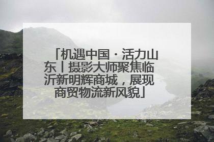 机遇中国・活力山东丨摄影大师聚焦临沂新明辉商城，展现商贸物流新风貌