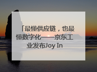 最懂供应链，也最懂数字化——京东工业发布Joy Industrial 重塑工业未来