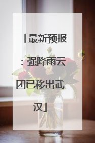 最新预报：强降雨云团已移出武汉
