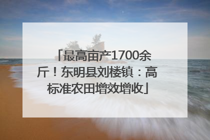 最高亩产1700余斤！东明县刘楼镇：高标准农田增效增收