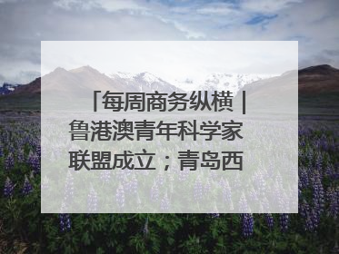每周商务纵横｜鲁港澳青年科学家联盟成立；青岛西海岸国际能源自贸港启用