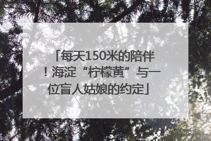 每天150米的陪伴！海淀“柠檬黄”与一位盲人姑娘的约定