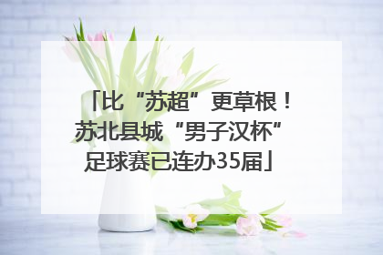 比“苏超”更草根！苏北县城“男子汉杯”足球赛已连办35届